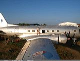 sylvia-37210